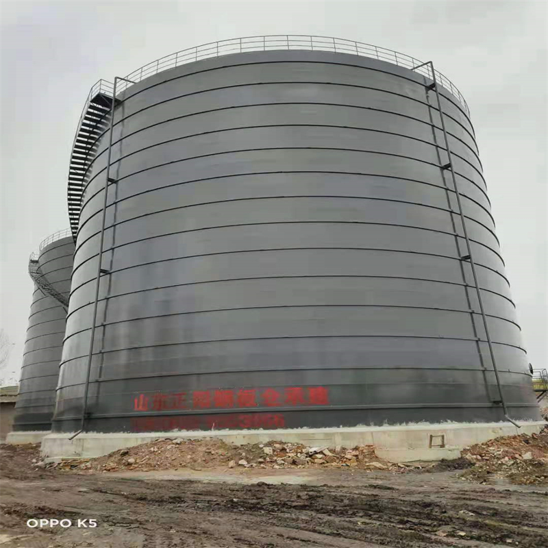 石台3万吨大型钢板库